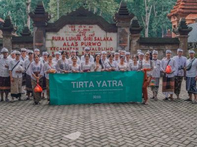 Amadea's 14th Anniversary: Going Green